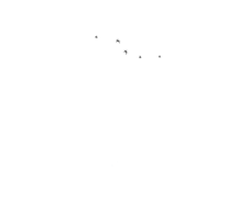The OSHIBORI Company, LLC.